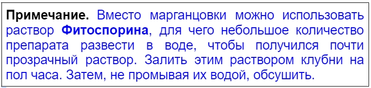 обеззараживание клубней картофеля фитоспорином
