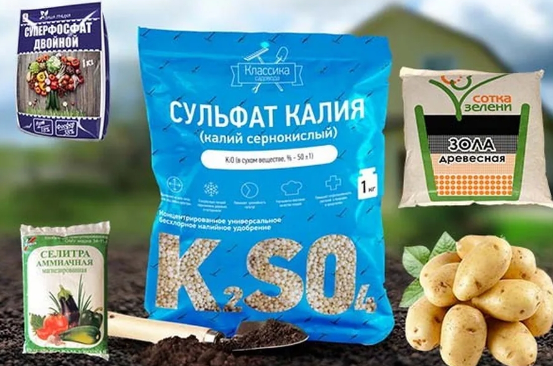 подкормка картофеля