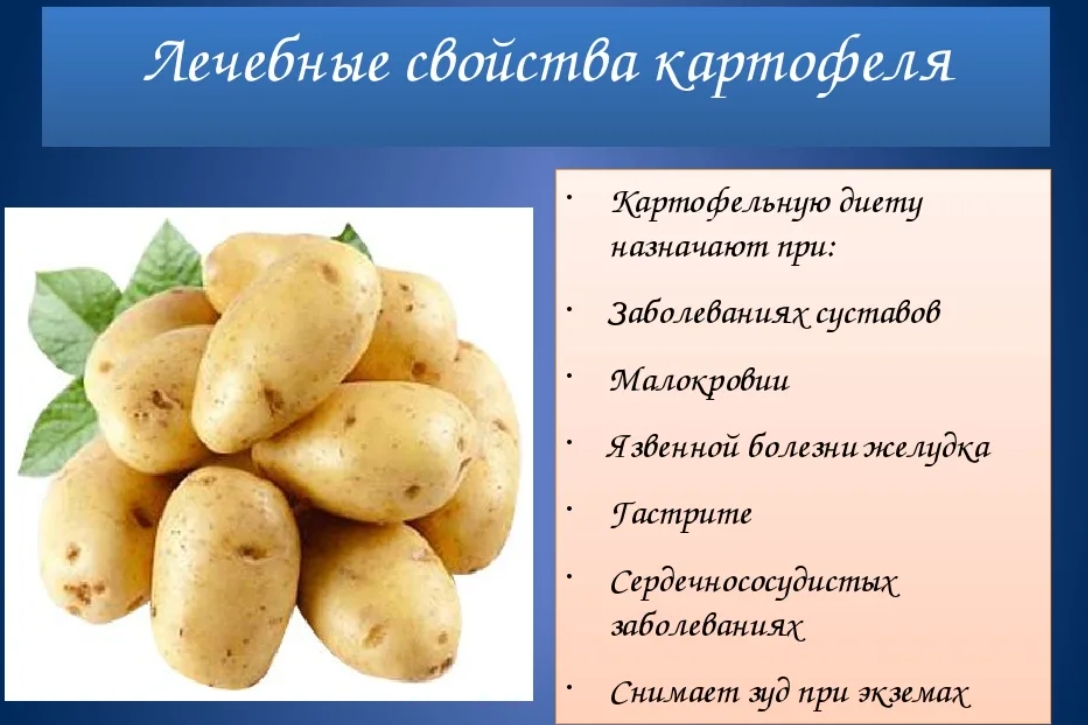лечебные свойства картофеля