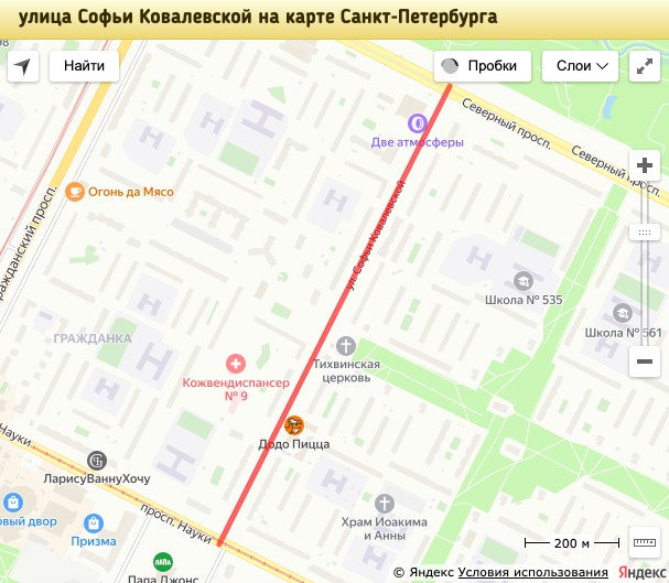 Улица Софьи Ковалевской в Санкт-Петербурге  62a62312ad