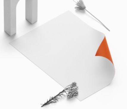 IMAGE(https://dl4.joxi.net/drive/2025/03/17/0058/3852/3829516/16/b2aa360c2d.jpg)